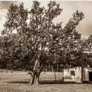 Riaan Jacobs se foto â€œmet â€˜n storieâ€